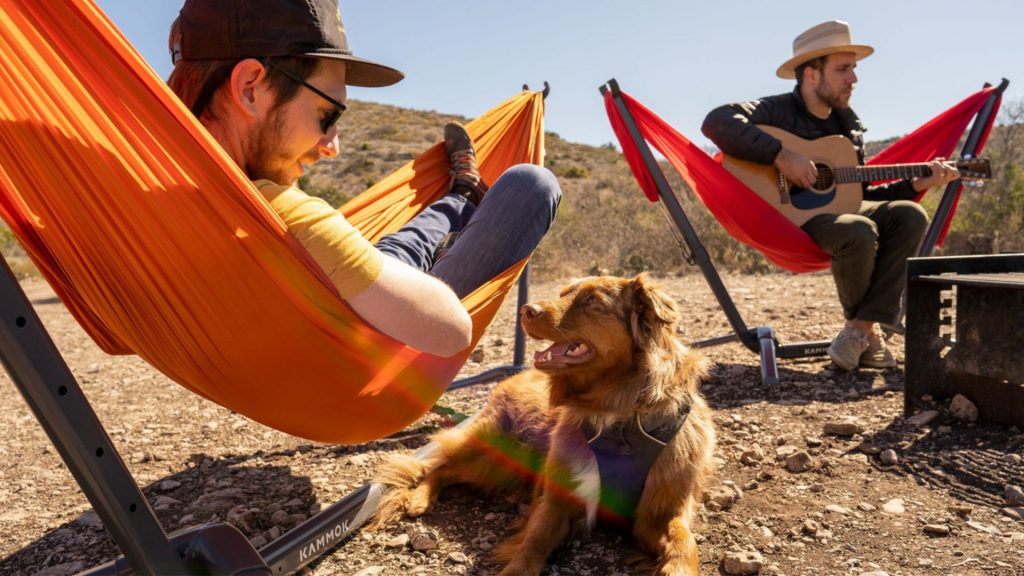 Best Portable Hammock Stands for Camping